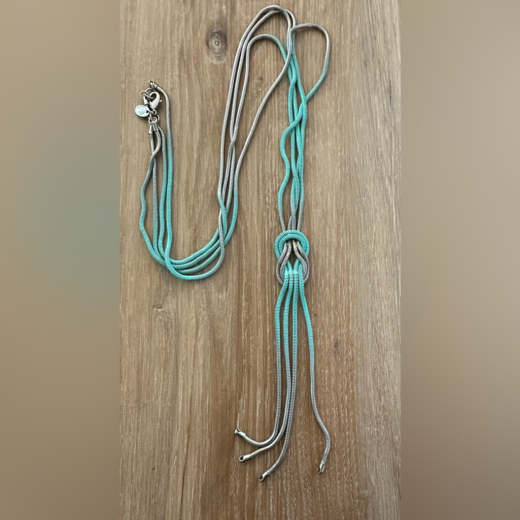 Charming Charlie Love Knot Ombr Necklace 15$
